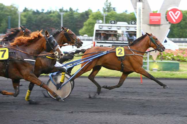 Photo d'arrivée de la course pmu PRIX NUNKY à PARIS-VINCENNES le Vendredi 30 juin 2017