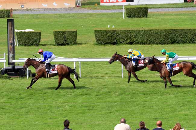 Photo d'arrivée de la course pmu PRIX REVE LA BOUTIQUE à CLAIREFONTAINE le Vendredi 30 juin 2017