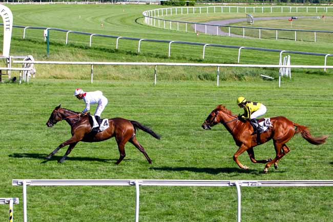 Photo d'arrivée de la course pmu PRIX SANS SOUCI II à MAISONS-LAFFITTE le Lundi 3 juillet 2017
