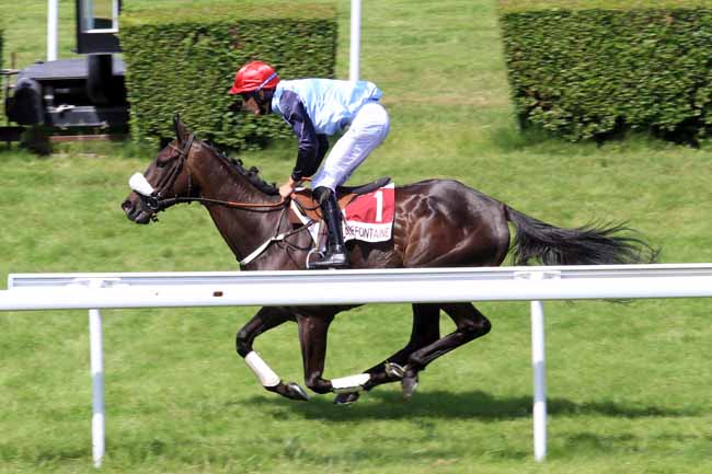 Photo d'arrivée de la course pmu PRIX DU CASINO à CLAIREFONTAINE le Mardi 4 juillet 2017