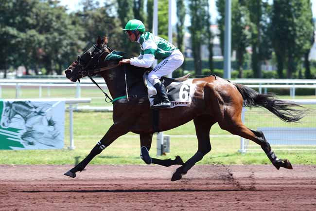 Photo d'arrivée de la course pmu PRIX DE L'INDRE à VICHY le Mercredi 5 juillet 2017