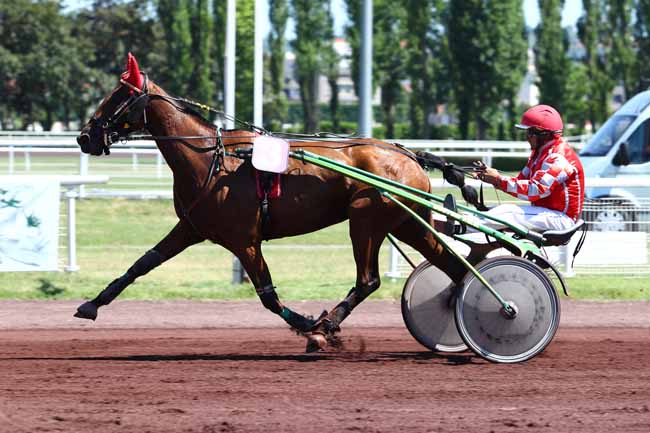 Photo d'arrivée de la course pmu PRIX JEROME SALAMANI à VICHY le Mercredi 5 juillet 2017