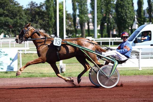 Photo d'arrivée de la course pmu PRIX DE LA SOCIETE DU CHEVAL FRANCAIS (GR B) à VICHY le Mercredi 5 juillet 2017
