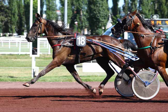 Photo d'arrivée de la course pmu PRIX ILE-DE-FRANCE à VICHY le Mercredi 5 juillet 2017