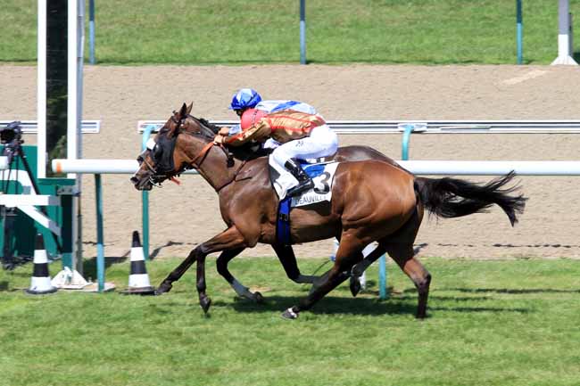 Photo d'arrivée de la course pmu PRIX DE SAINT-SYLVAIN à DEAUVILLE le Mercredi 5 juillet 2017