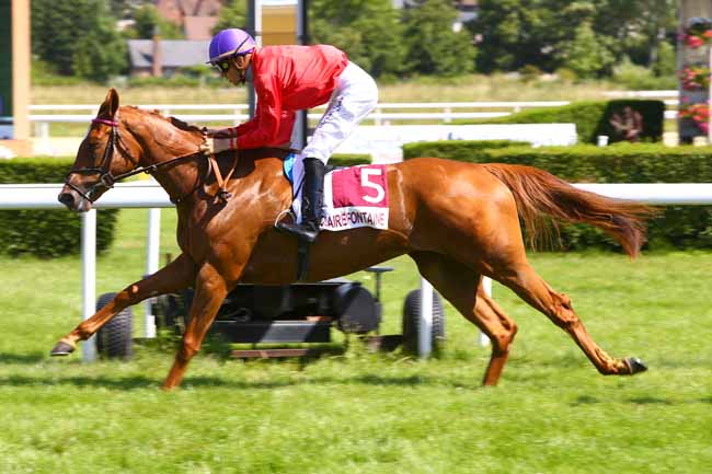 Photo d'arrivée de la course pmu PRIX DE LA VILLE DE TROUVILLE-SUR-MER à CLAIREFONTAINE le Jeudi 6 juillet 2017