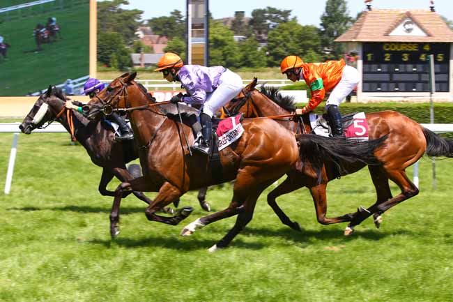 Photo d'arrivée de la course pmu PRIX DE LA VILLE DE VILLERVILLE à CLAIREFONTAINE le Jeudi 6 juillet 2017