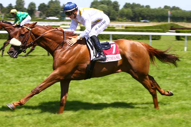 Photo d'arrivée de la course pmu PRIX DE LA VILLE DE TOUQUES à CLAIREFONTAINE le Jeudi 6 juillet 2017
