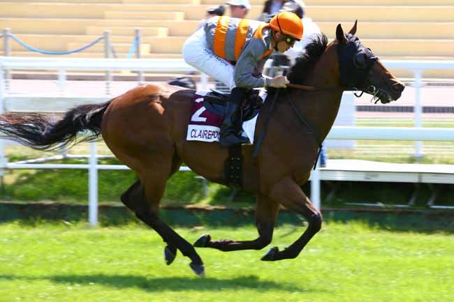 Photo d'arrivée de la course pmu PRIX DE LA VILLE DE BENERVILLE-SUR-MER à CLAIREFONTAINE le Jeudi 6 juillet 2017