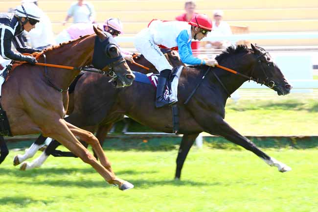 Photo d'arrivée de la course pmu PRIX DE LA VILLE DE SAINT ARNOULT à CLAIREFONTAINE le Jeudi 6 juillet 2017
