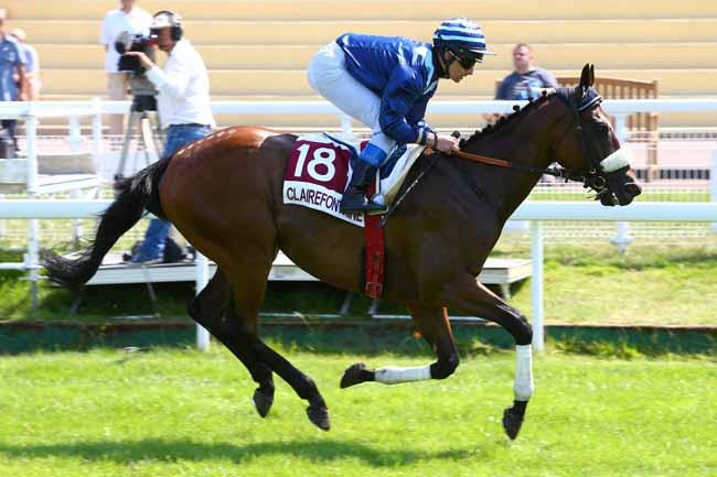Photo d'arrivée de la course pmu PRIX EXPOSITION PHILIPPE LERAY TOURGEVILLE à CLAIREFONTAINE le Jeudi 6 juillet 2017