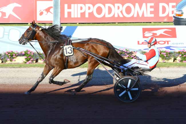 Photo d'arrivée de la course pmu PRIX DES IRIS à CABOURG le Vendredi 7 juillet 2017