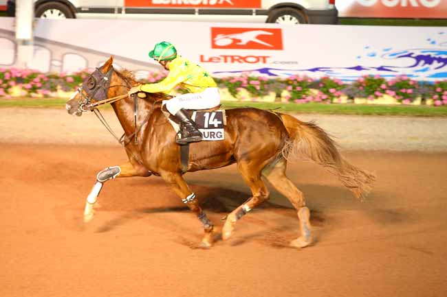 Photo d'arrivée de la course pmu PRIX DES GLAIEULS (GR A) à CABOURG le Vendredi 7 juillet 2017
