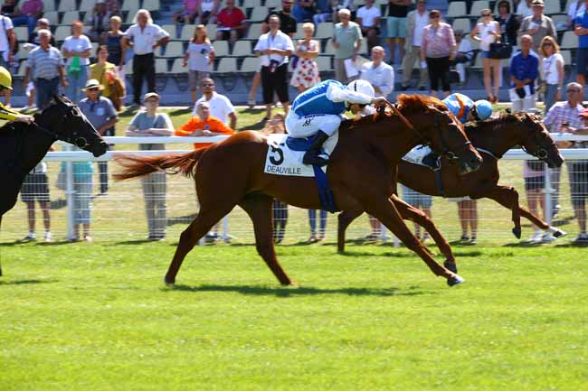Photo d'arrivée de la course pmu PRIX DE CAEN à DEAUVILLE le Vendredi 7 juillet 2017