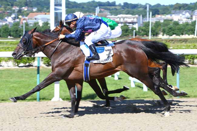 Photo d'arrivée de la course pmu PRIX DE L'ITON à DEAUVILLE le Vendredi 7 juillet 2017