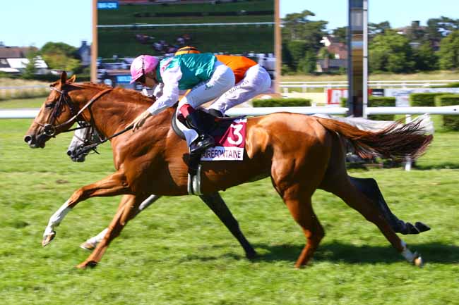 Photo d'arrivée de la course pmu PRIX ASSOCIATION ART ET VERRE à CLAIREFONTAINE le Samedi 8 juillet 2017