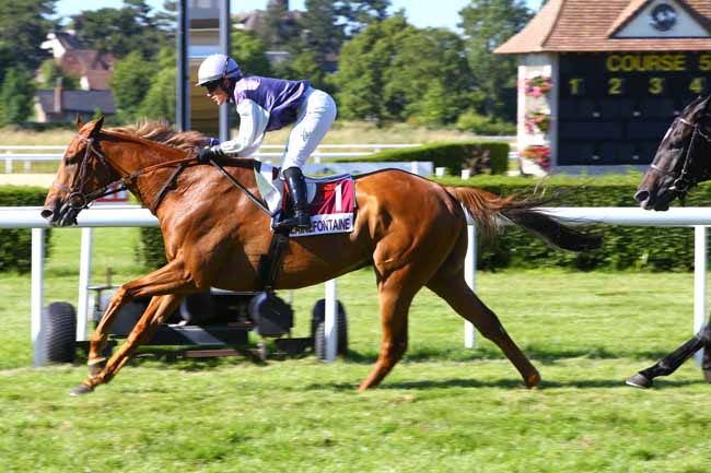 Photo d'arrivée de la course pmu PRIX DE LA CHAMBRE DE METIERS ET DE L'ARTISANAT 