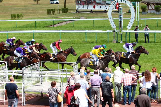 Photo d'arrivée de la course pmu PRIX DE L'ARTOIS à COMPIEGNE le Lundi 10 juillet 2017