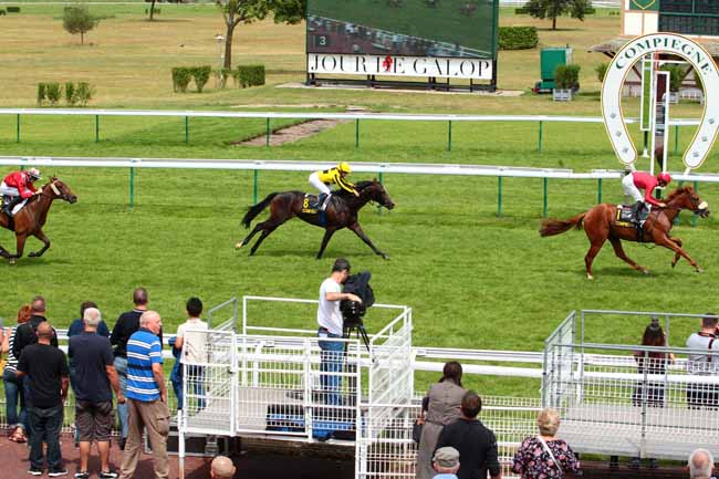 Photo d'arrivée de la course pmu PRIX DE MONTDIDIER à COMPIEGNE le Lundi 10 juillet 2017