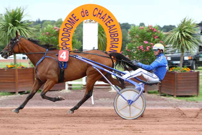 Photo d'arrivée de la course pmu PRIX SYNERGIE à CHATEAUBRIANT le Mardi 11 juillet 2017