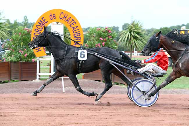 Photo d'arrivée de la course pmu PRIX TENOR DE BAUNE à CHATEAUBRIANT le Mardi 11 juillet 2017