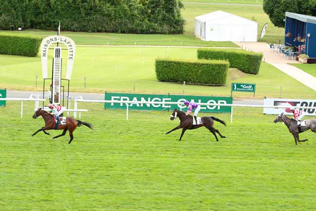 Photo d'arrivée de la course pmu PRIX DE MERICOURT à MAISONS-LAFFITTE le Mercredi 12 juillet 2017