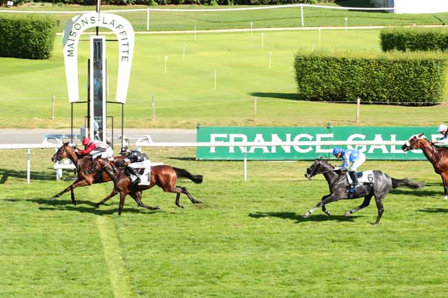 Photo d'arrivée de la course pmu PRIX DE LA VILLE DU PECQ à MAISONS-LAFFITTE le Dimanche 16 juillet 2017
