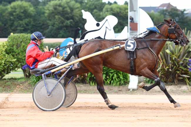 Photo d'arrivée de la course pmu PRIX DES MAITRES LAITIERS DU COTENTIN à CHERBOURG le Mercredi 19 juillet 2017