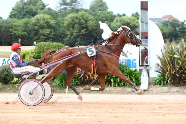 Photo d'arrivée de la course pmu PRIX ABO VOLO à CHERBOURG le Mercredi 19 juillet 2017