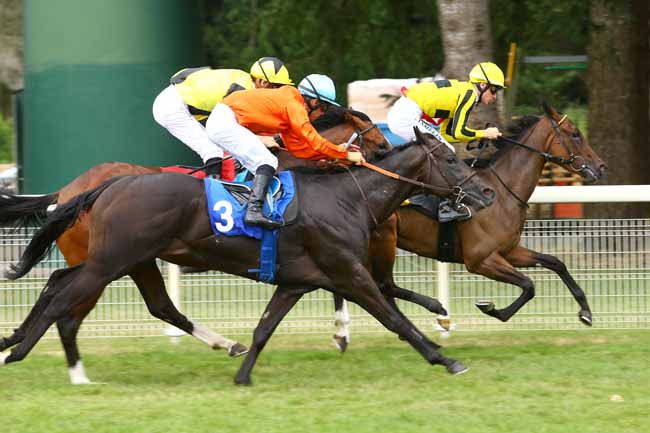 Photo d'arrivée de la course pmu PRIX DES REVES D'OR - PRIX JACQUES BOUCHARA à VICHY le Jeudi 20 juillet 2017