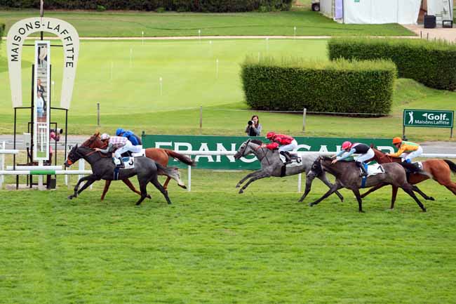 Photo d'arrivée de la course pmu PRIX DE LA PEPINIERE - FONDS EUROPEEN DE L'ELEVAGE à MAISONS-LAFFITTE le Dimanche 23 juillet 2017