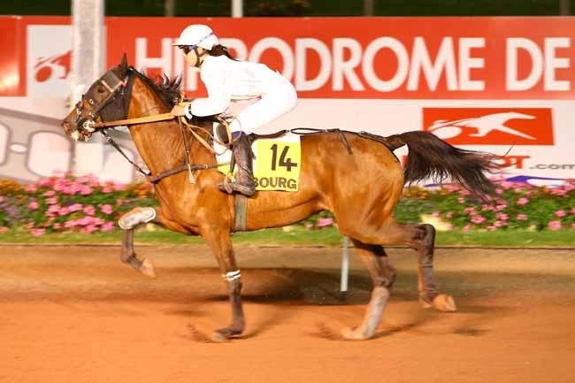 Photo d'arrivée de la course pmu PRIX DU CONSEIL DES CHEVAUX DE NORMANDIE à CABOURG le Vendredi 28 juillet 2017