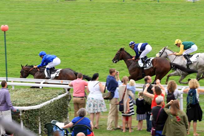 Photo d'arrivée de la course pmu PRIX DE TANCARVILLE - VILLE DE SAUTERNES à DEAUVILLE le Samedi 29 juillet 2017