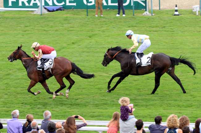 Photo d'arrivée de la course pmu PRIX DU CERCLE à DEAUVILLE le Samedi 29 juillet 2017