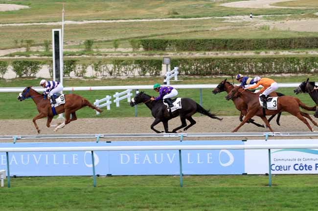 Photo d'arrivée de la course pmu PRIX DU VERGER à DEAUVILLE le Dimanche 30 juillet 2017