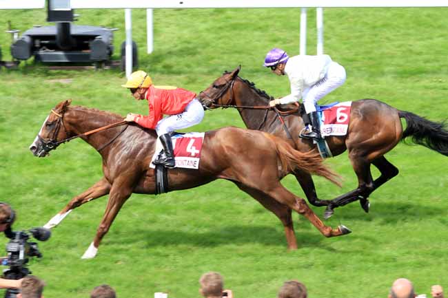 Photo d'arrivée de la course pmu PRIX DE SAINT-HYMER à CLAIREFONTAINE le Lundi 31 juillet 2017