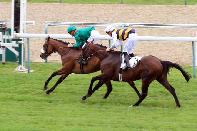 Photo d'arrivée de la course pmu PRIX DE PONT-AUDEMER à DEAUVILLE le Mardi 1 août 2017