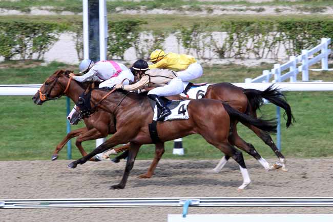 Photo d'arrivée de la course pmu PRIX DE BRETONCELLES à DEAUVILLE le Mardi 1 août 2017