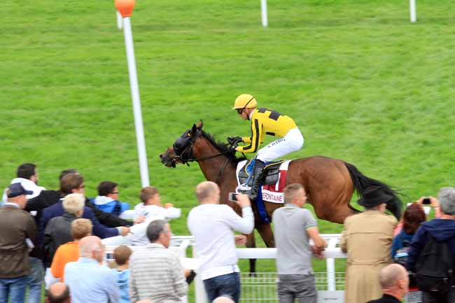 Photo d'arrivée de la course pmu PRIX DES PAQUERETTES à CLAIREFONTAINE le Jeudi 3 août 2017
