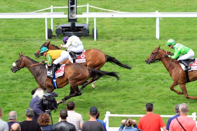 Photo d'arrivée de la course pmu PRIX DES AMARANTES à CLAIREFONTAINE le Jeudi 3 août 2017