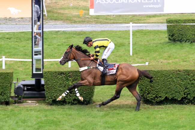 Photo d'arrivée de la course pmu PRIX DES TILLEULS à CLAIREFONTAINE le Samedi 5 août 2017