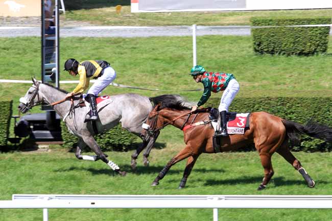 Photo d'arrivée de la course pmu PRIX DES PLATANES à CLAIREFONTAINE le Samedi 5 août 2017