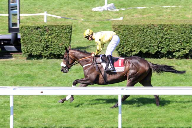 Photo d'arrivée de la course pmu PRIX DE LA PAQUINE à CLAIREFONTAINE le Samedi 5 août 2017