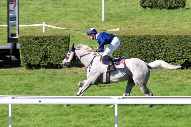 Photo d'arrivée de la course pmu PRIX DU VIEUX POIRIER à CLAIREFONTAINE le Samedi 5 août 2017