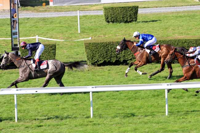 Photo d'arrivée de la course pmu PRIX LE BARON DUTACQ /ASSOCIATION LES PP à CLAIREFONTAINE le Samedi 5 août 2017
