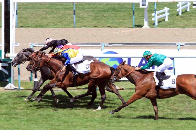 Photo d'arrivée de la course pmu PRIX DU HARAS EL PALMAR (URUGUAY) à DEAUVILLE le Dimanche 6 août 2017
