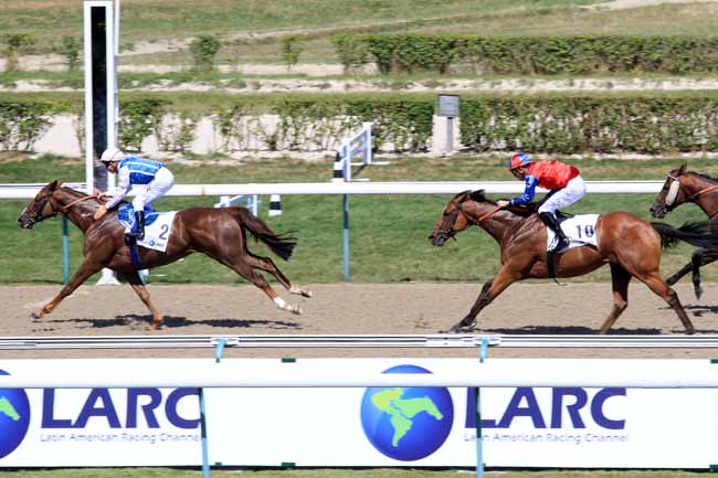 Photo d'arrivée de la course pmu PRIX DU HARAS VIEJO MOLINO (URUGUAY) à DEAUVILLE le Dimanche 6 août 2017