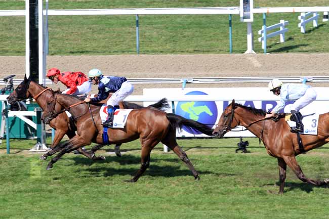 Photo d'arrivée de la course pmu HARAS FIRMAMENTO PRIX DE POMONE à DEAUVILLE le Dimanche 6 août 2017
