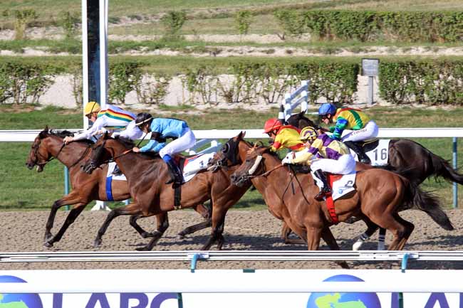 Photo d'arrivée de la course pmu PRIX ASOCIACION DE CRIADORES DEL CABALLO PURO DE CARRERAS (URUGUAY) à DEAUVILLE le Dimanche 6 août 2017