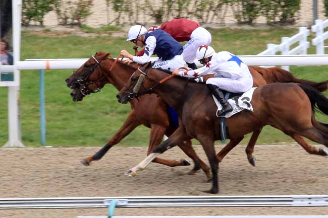 Photo d'arrivée de la course pmu PRIX DE LA FORET DE BORD à DEAUVILLE le Jeudi 10 août 2017